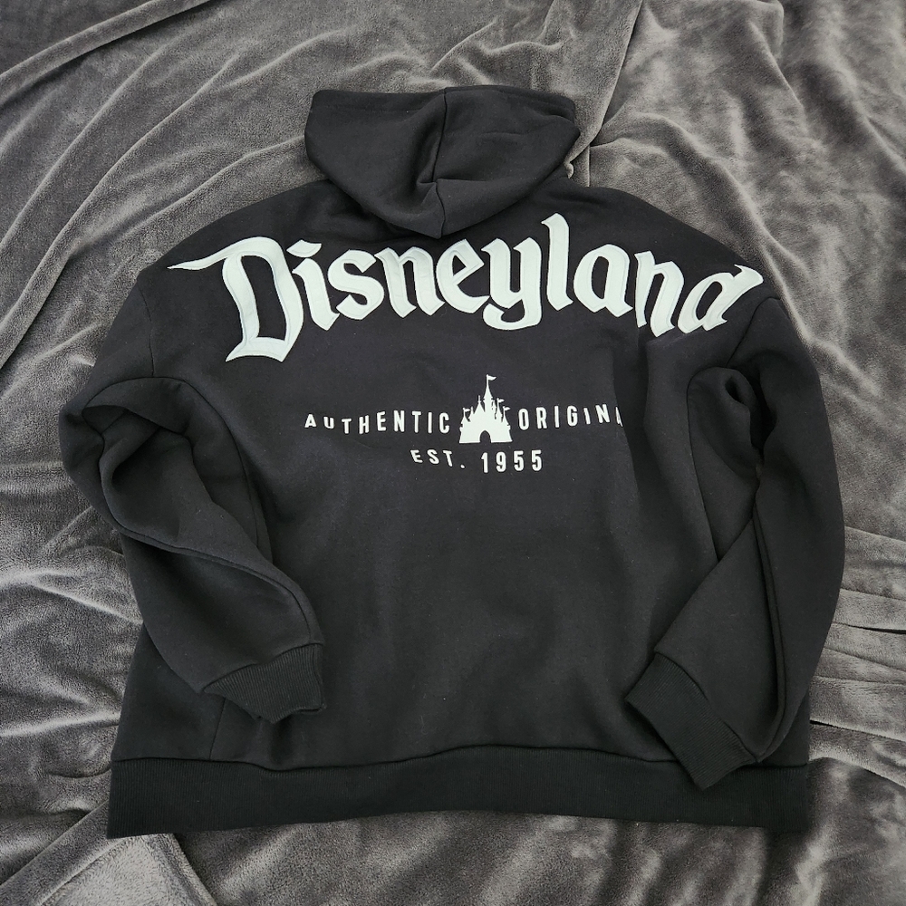 2023 disneyland authentic zip up  hoodie